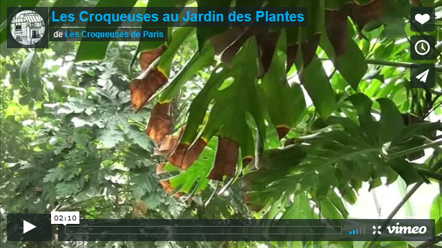 { vidéo } Le Jardin des Plantes